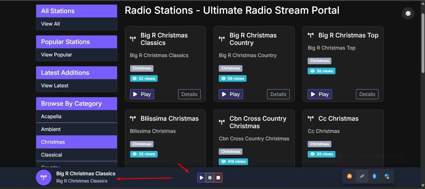 Professional Internet Radio & TV Hosting Bundle-Customized Website Included