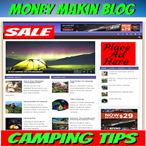 Camping Tips Ready Made Turnkey WordPress Blog Only or w/Hosting 1st/month $1.00