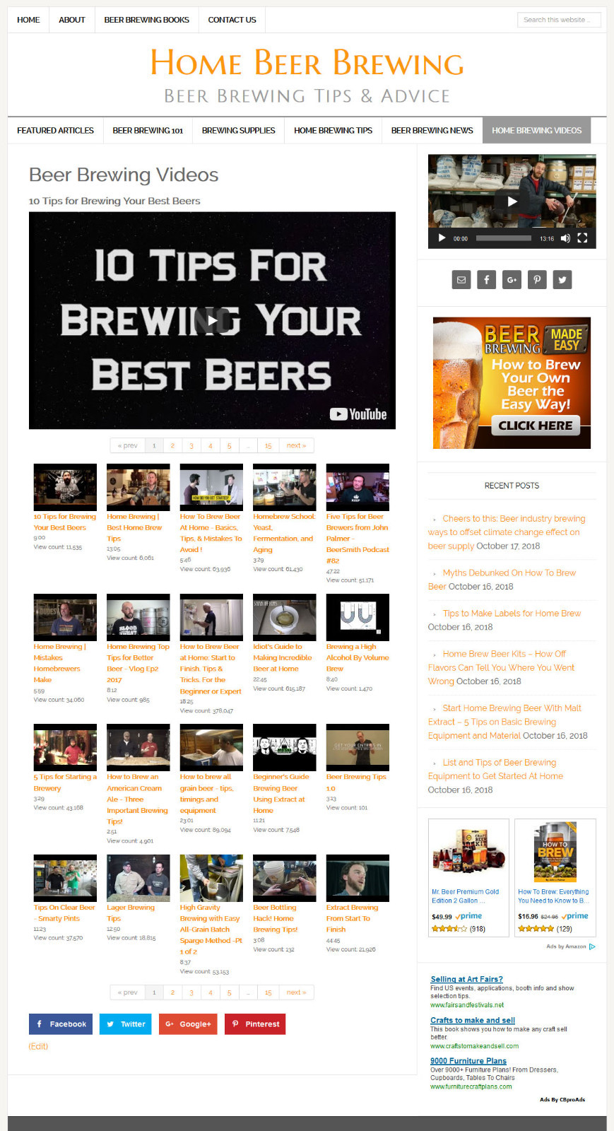 * HOMEBREWING CRAFT BEER BREWING * blog website business for sale AUTO UPDATING