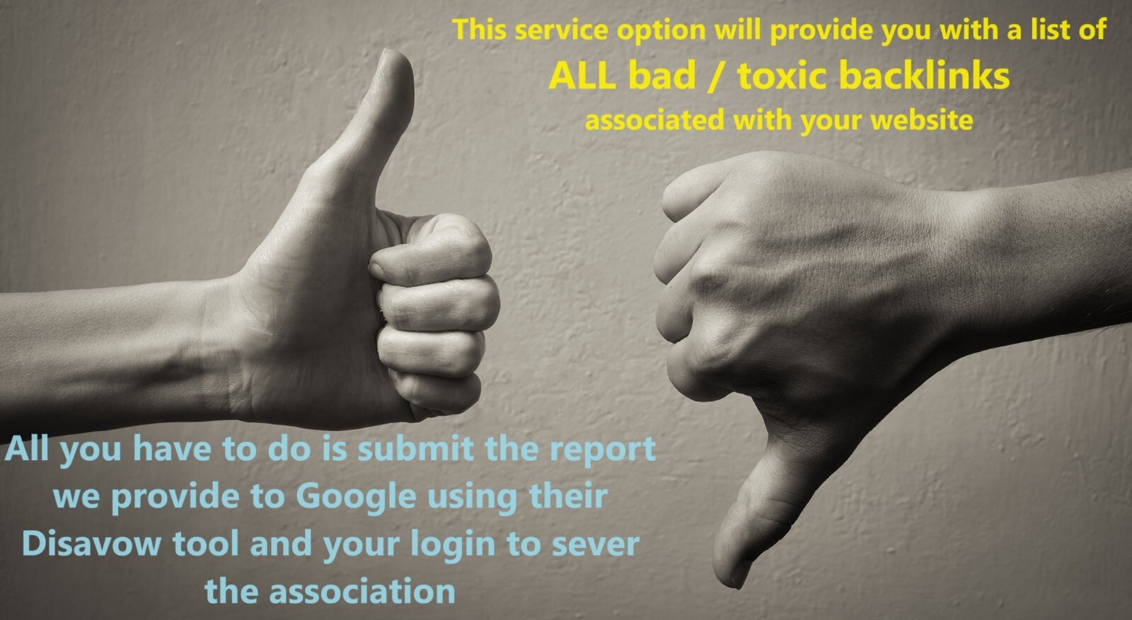 [SEO Detox] BAD + Toxic + Spammy Backlinks Disavow Service