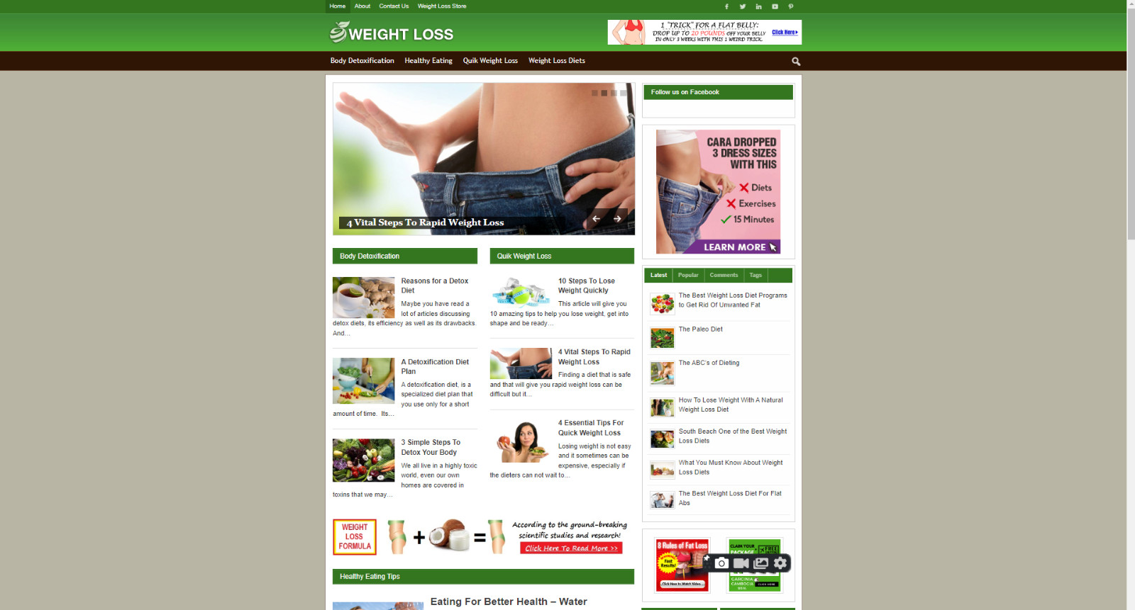 Weight Loss Niche Blog Website WordPress, Amazon and ClickBank Business For Sale