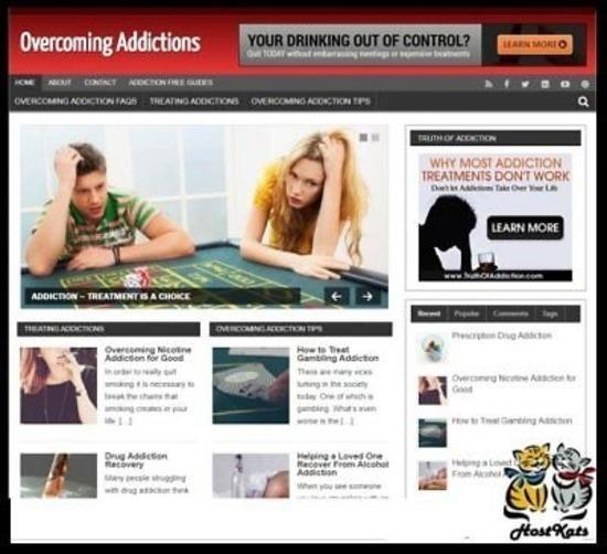 Overcoming Addiction Niche Blog website Affiliate Income Free Hosting / Setup