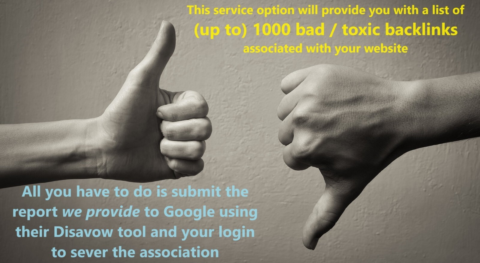 [SEO Detox] BAD + Toxic + Spammy Backlinks Disavow Service