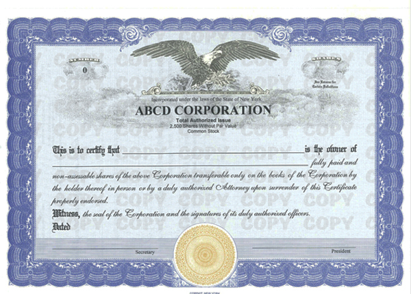 SEASONED AGED DELAWARE CORPORATION For Sale- 3+ YRS Filed 3-2022+EIN+Domain+Kit
