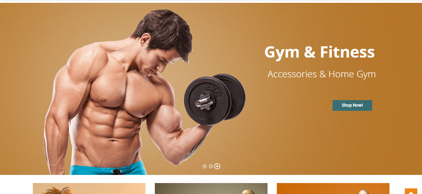 Established Profitable FITNESS Turnkey Online Business Website For Sale