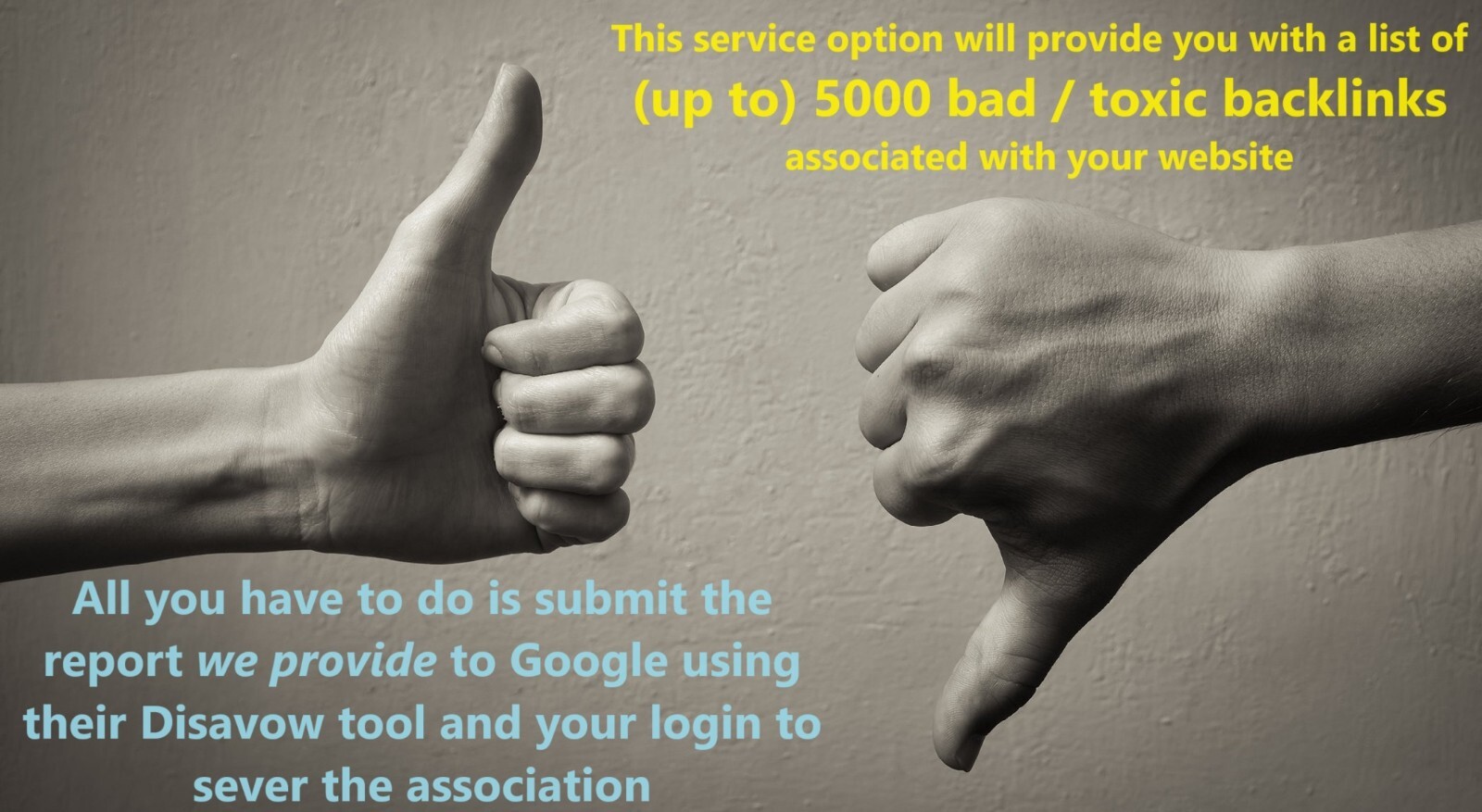 [SEO Detox] BAD + Toxic + Spammy Backlinks Disavow Service