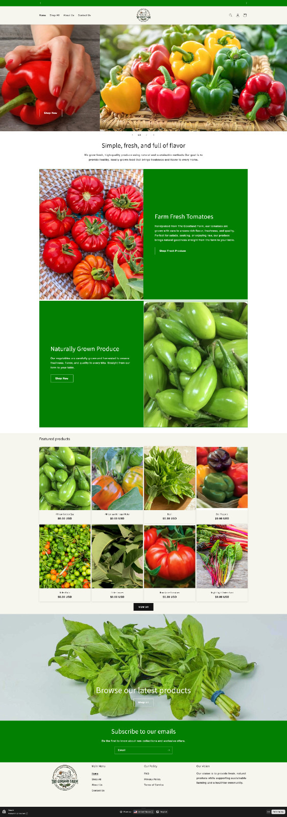 Shopify Dropshipping Store Design Setup and High Converting Website