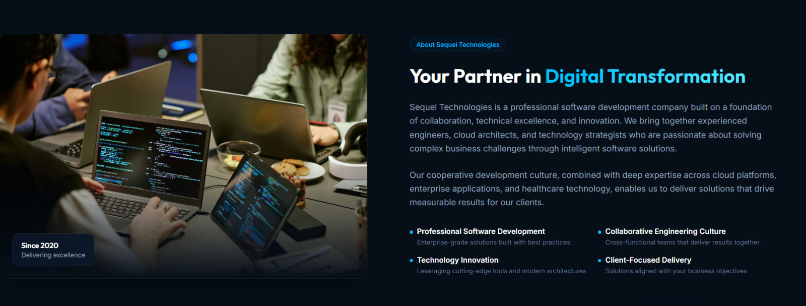 Software Company Website Template | IT Consulting Landing Page | Digital Agency 