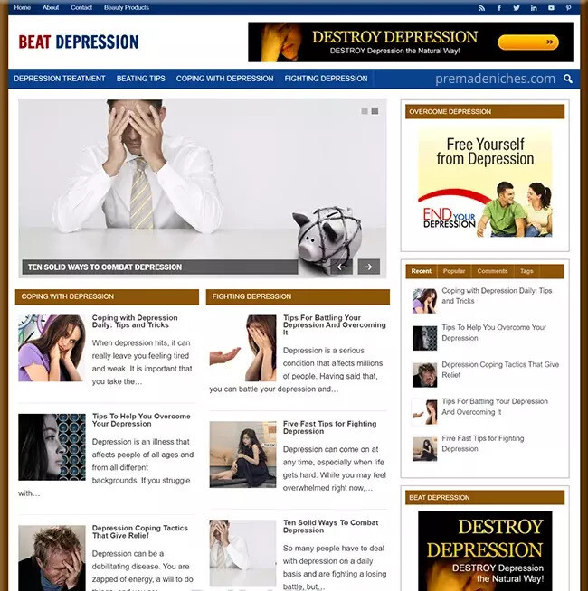 Depression Free Ready Made Site Turnkey Niche Website Business For Sale