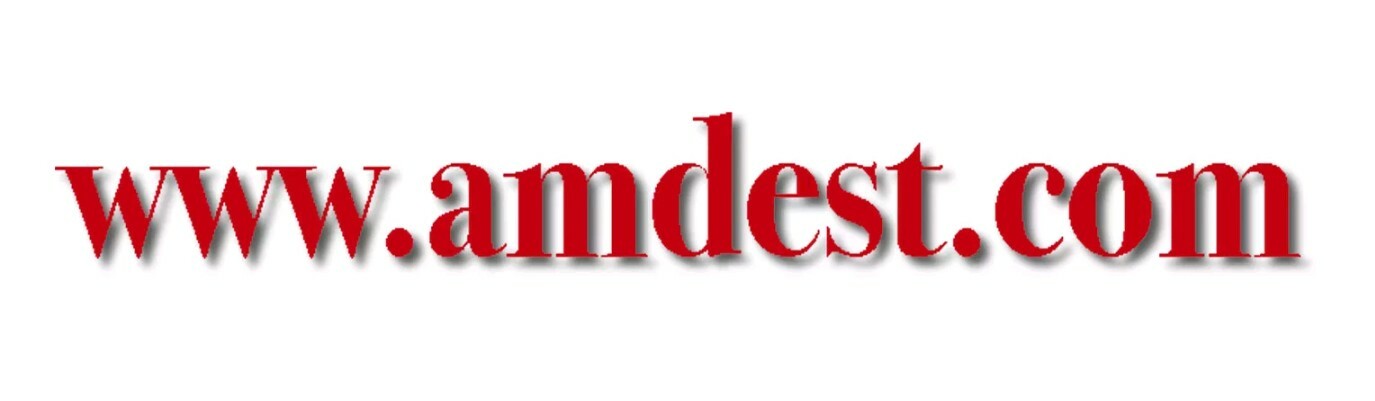 WWW. AMDEST .COM, EXTREME PREMIUM DOMAIN NAME, 6 LETTER WEB ADDRESS