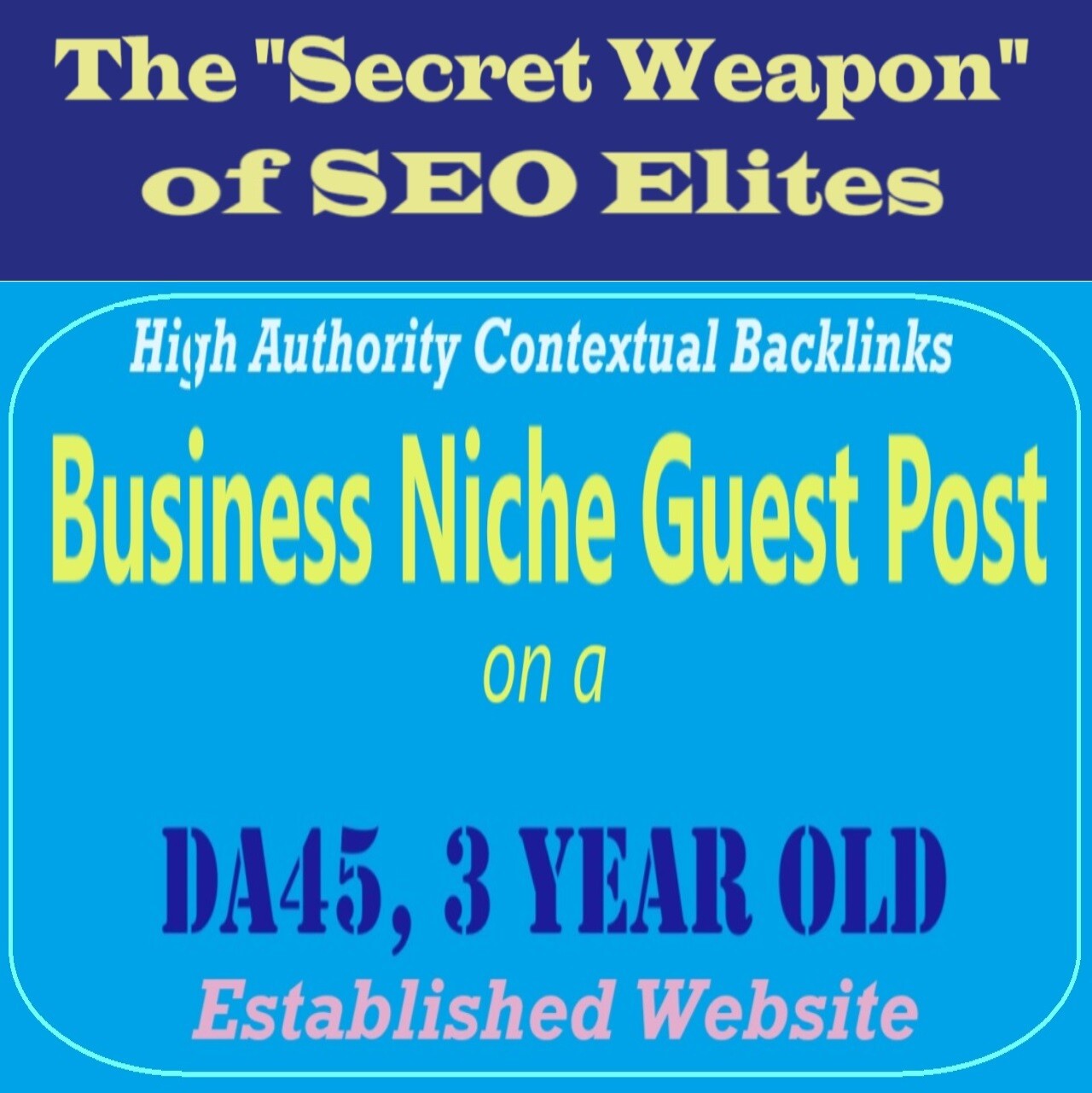 Premium SEO Guest Post on my DA40 Plus Business Blog with Dofollow backlink