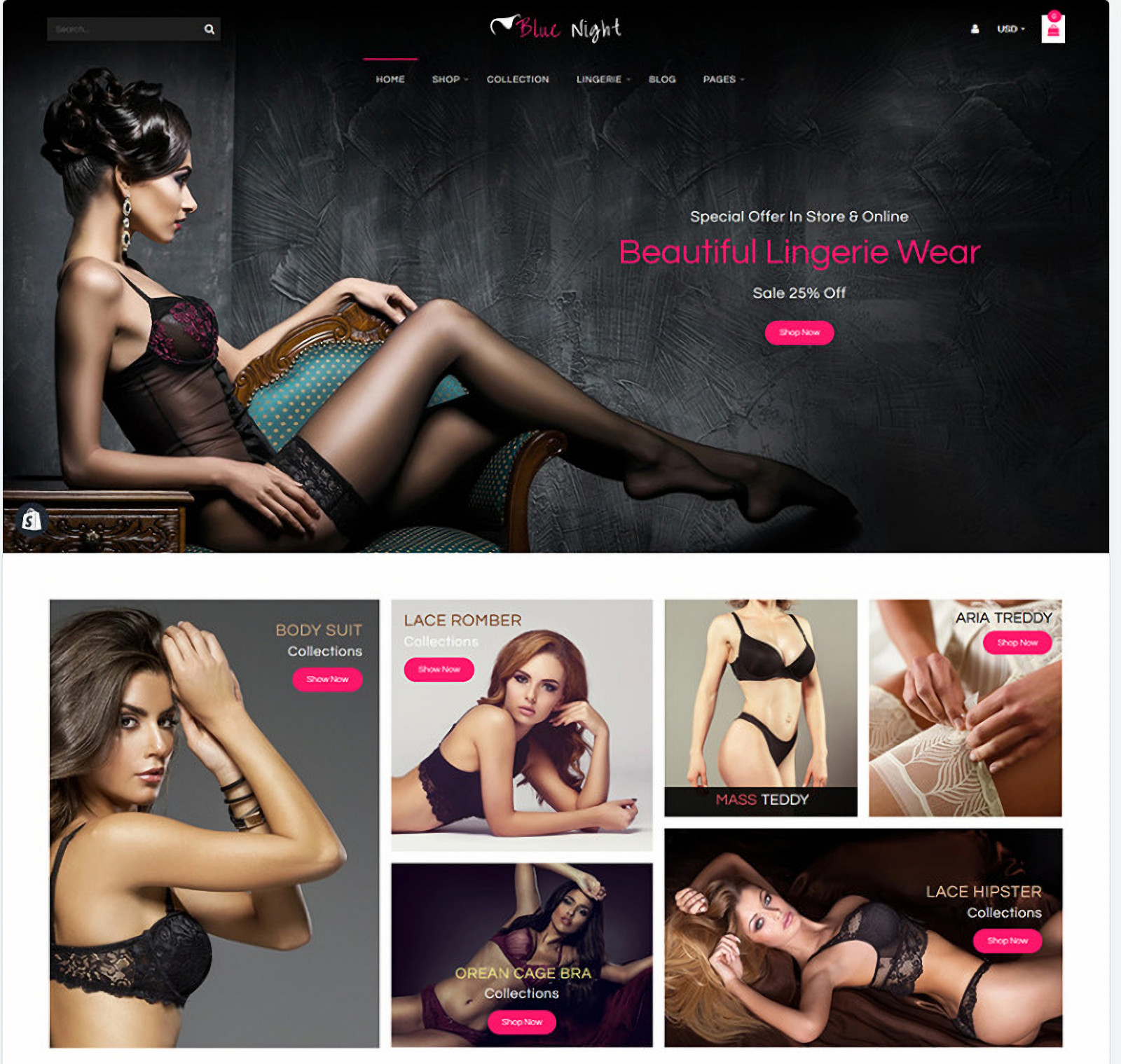 Lingerie Website Business | Luxury Sexy Underwear Dropshipping Store For Sale