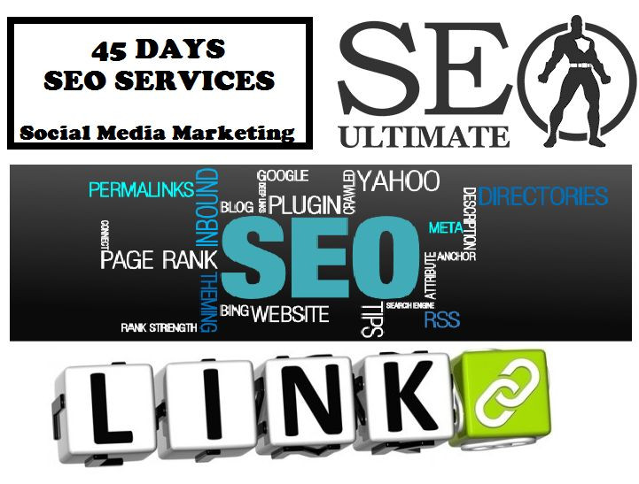45 DAYS SEO and Rank in Google with your website ! SEO , Mix Backlinks .