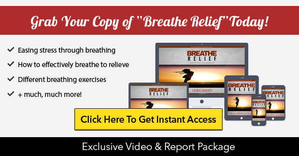 Memory Mind eBooks , Guides, Website Pages & Courses Bundle w/MRR License