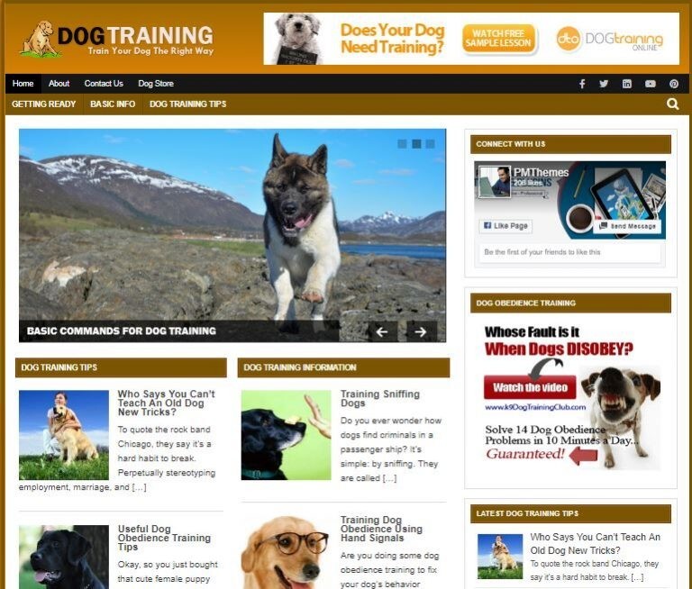 Dog Training Ready Made Blog Turnkey Niche Website Business for Sale