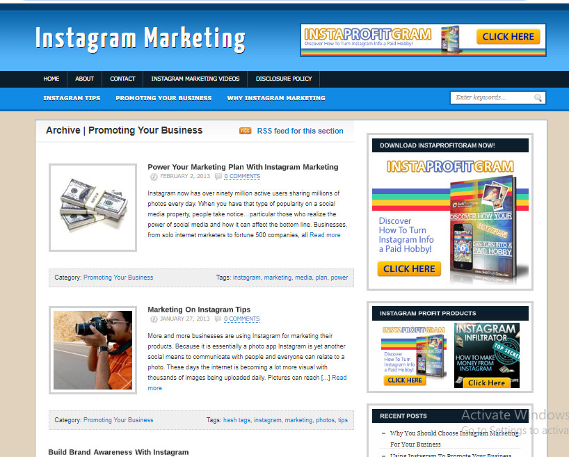 Instagram-Marketing-Blog-Plus-Ready Made Affiliate Website- Free Hosting/ Setup