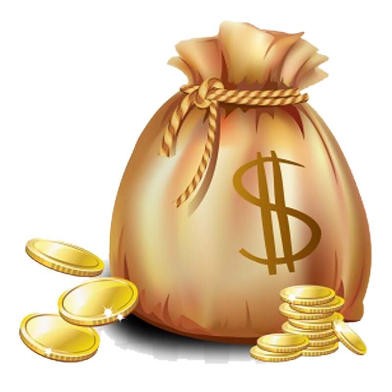 This is Just for payment freight and Buyer of Special requirements penesto0