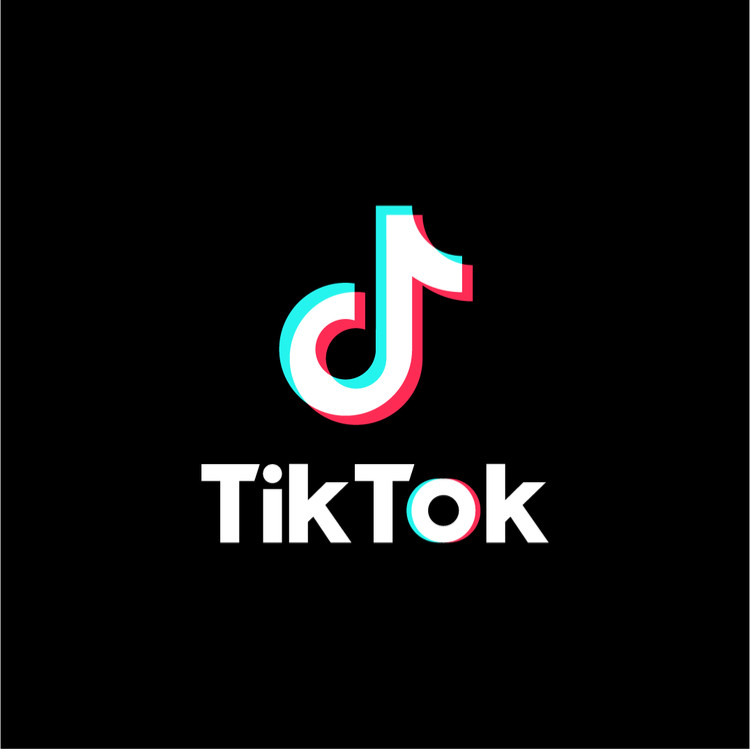 TikTok platform