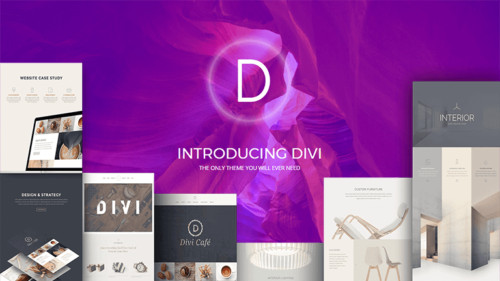 Divi Theme | Divi Builder installed for WordPress LifeTime Updates!