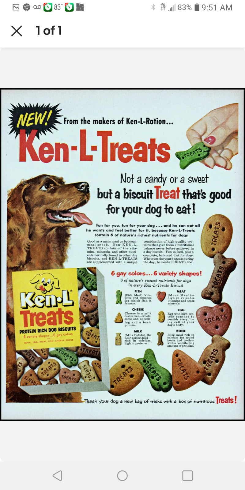 KEN-L RATION- E-COMMERCE STORE FAMOUS DOG PRODUCTS TRADEMARK FOR SALE-