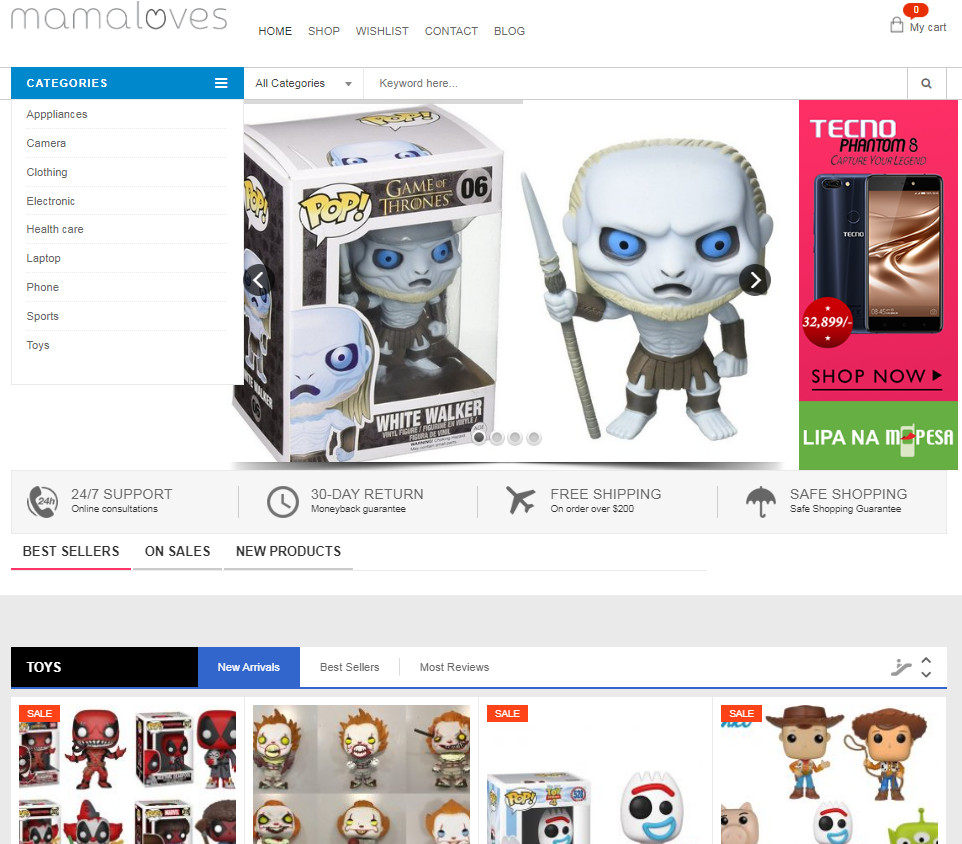 Ready made Drop shipping website Free hosting & set up , Generic items