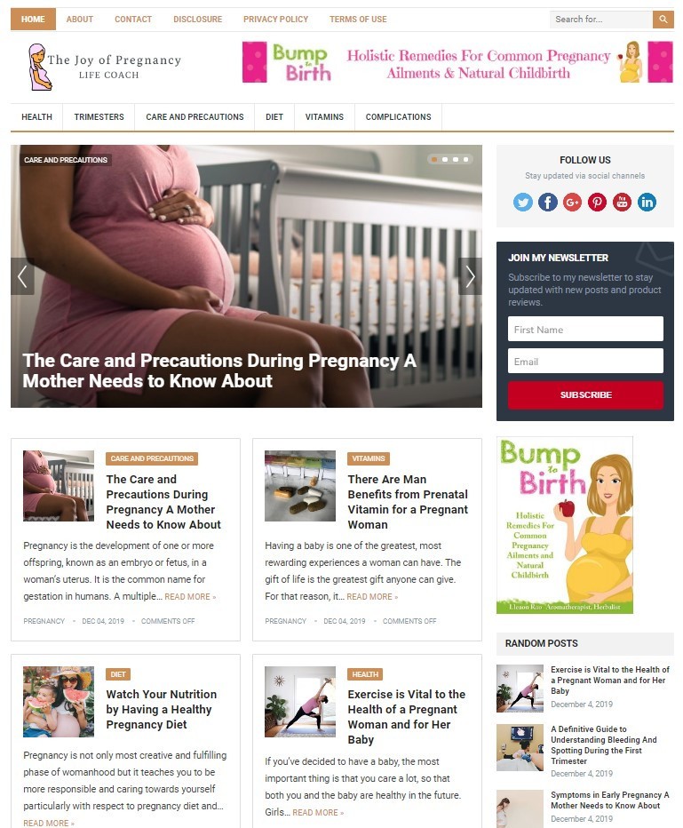 DFY PREGNANCY WORDPRESS THEME+FREE SETUP PRE-DESIGNED BANNERS AND ADS