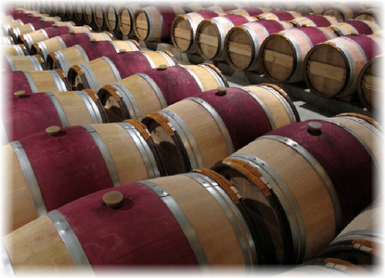 WINESCHOLAR.COM Cabernet Bordeaux Wine Tasting Education Sommelier DOMAIN NAME