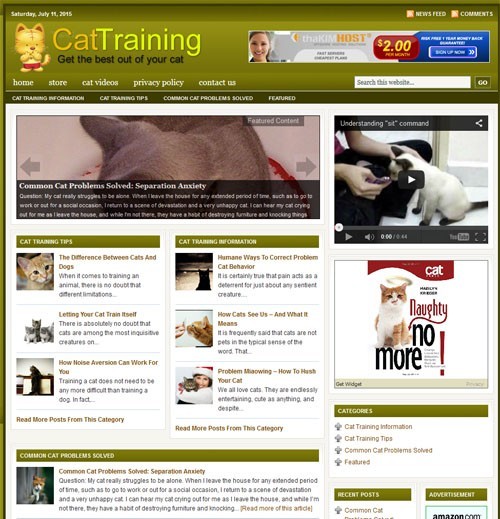 Affiliate Marketing Ready Made Blog for Easy Use Niche Website Business For Sale