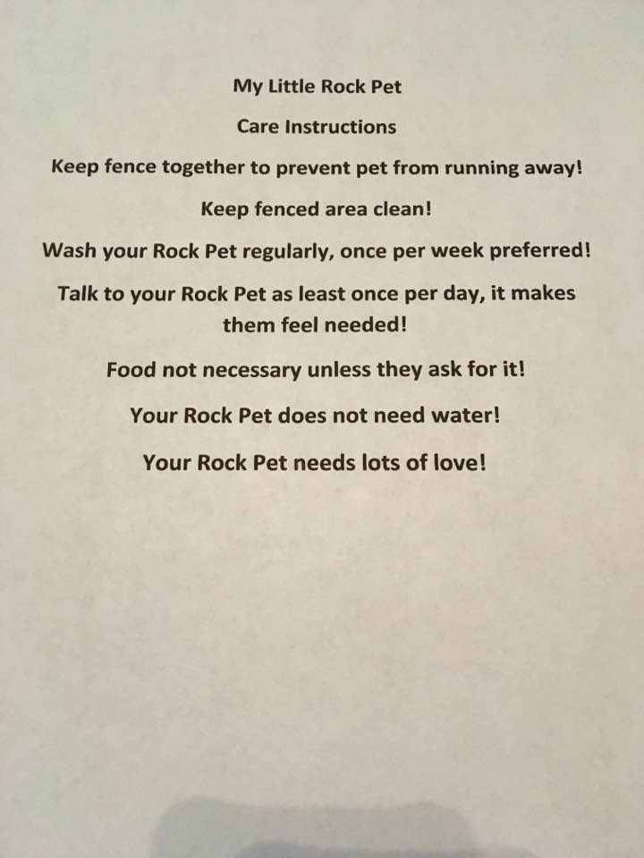 My Little Rock Pets – Business for sale!