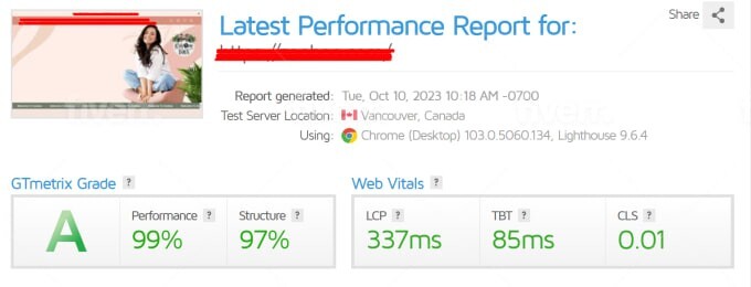 SPEED UP Wix Shopify WordPress website with improve GTmetrix Google Pagespeed