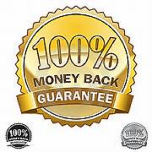250,000 Real Visitors and SEO Submit Website Web Advertising