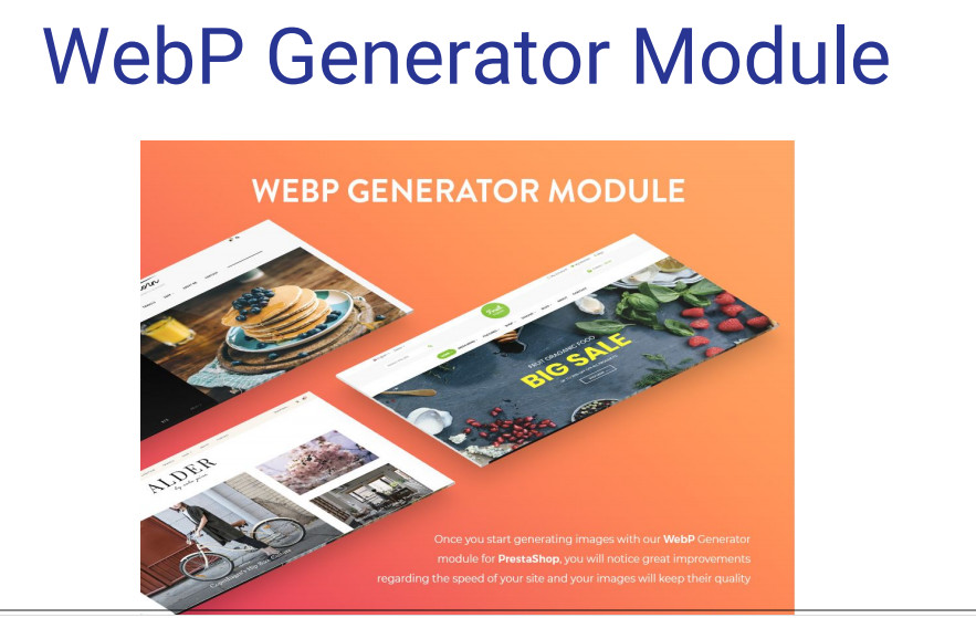 Premium PrestaShop 65 Responsive Themes Templates Full Sites Stores Complete